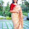 Blended Tussar saree with cross stitch and cutwork ( Available in 8 colors)