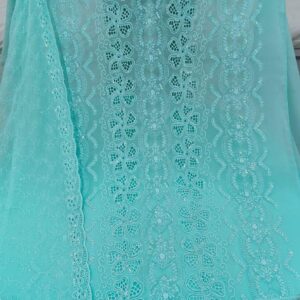 Dhruva- pastel blue Heavy embroidery georgette salwar
