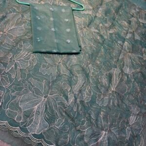 Rewa-002- Blue Organza Saree with turkish style Embroidery