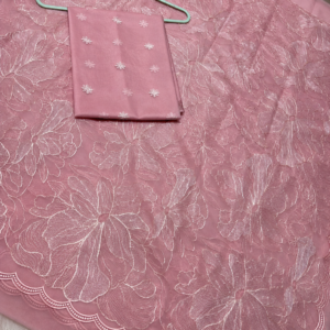 Rewa-001- Baby pink Organza Saree with turkish style Embroidery