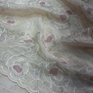 Sarga 001- chandi silk Organza Saree with Embroidery