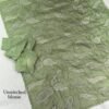 Sukha 002- chandi silk Organza Saree with Embroidery
