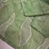 Sukha 002- chandi silk Organza Saree with Embroidery