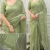 Sukha 002- chandi silk Organza Saree with Embroidery